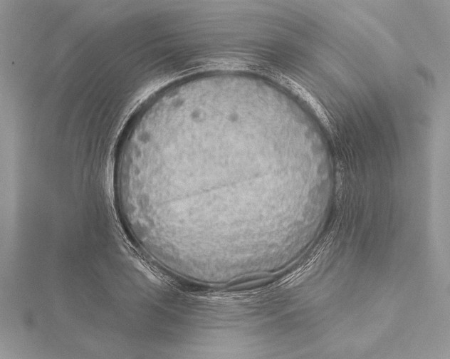 X0000115431035200912020920