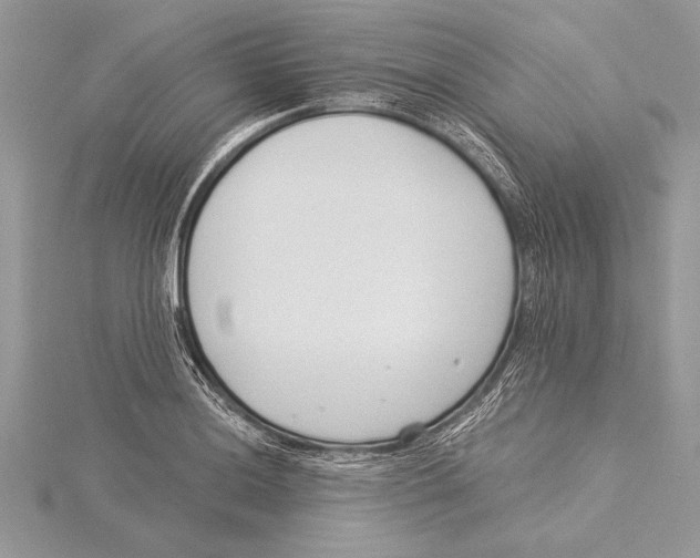 X0000115431036200912020920