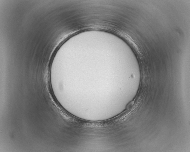 X0000115431040200912020920