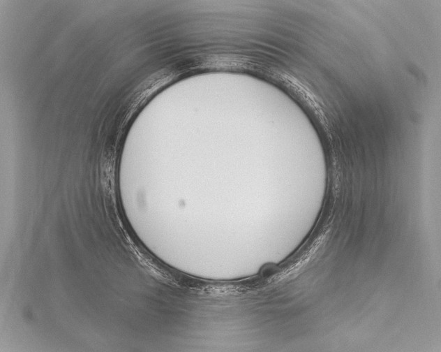 X0000115431041200912020920