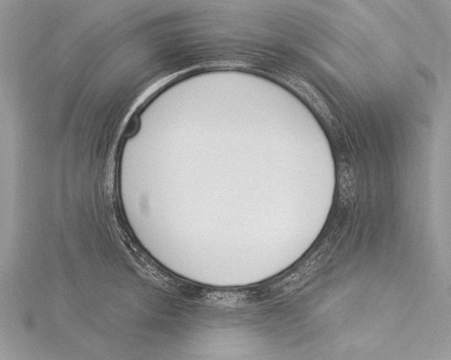 X0000115431044200912020920