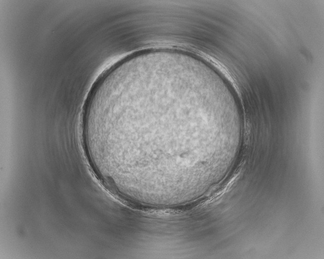 X0000115431045200912020920