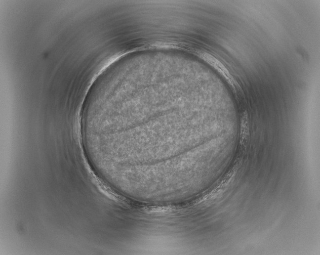 X0000115431047200912020920