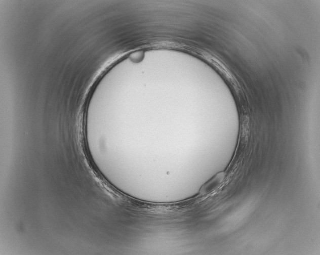 X0000115431048200912020920