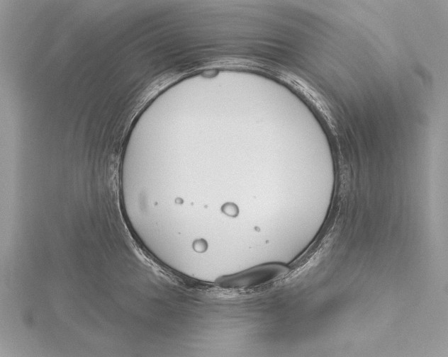 X0000115431049200912020920