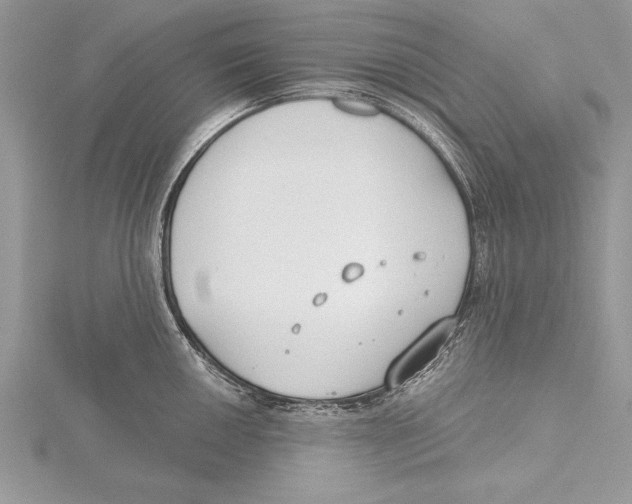 X0000115431050200912020920