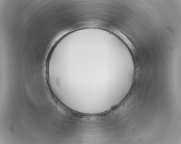 X0000115431051200912020920