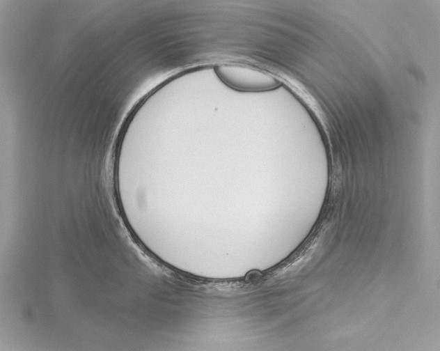 X0000115431053200912020920