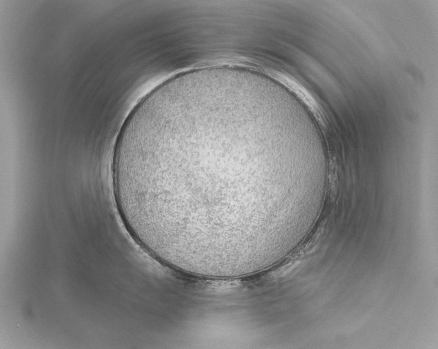 X0000115431055200912020920