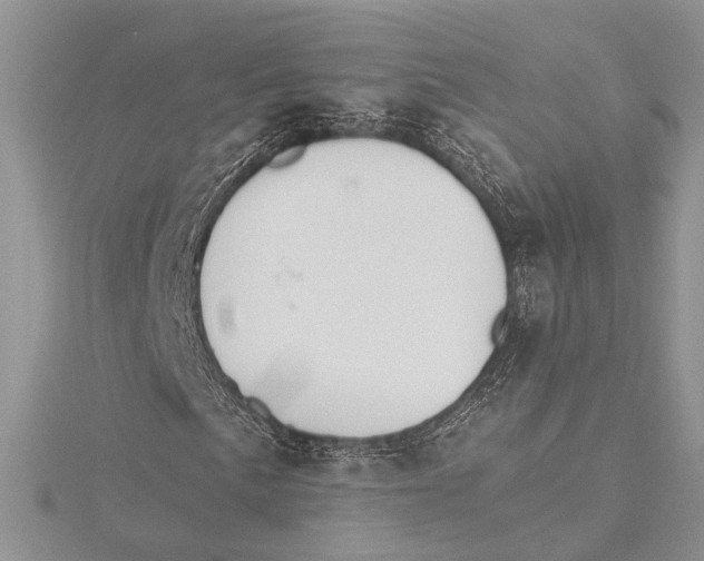 X0000115431057200912020920