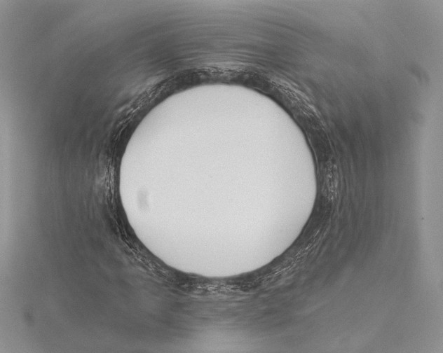 X0000115431061200912020919