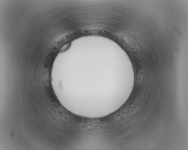 X0000115431062200912020919