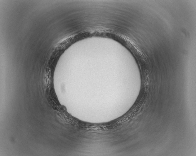 X0000115431063200912020919