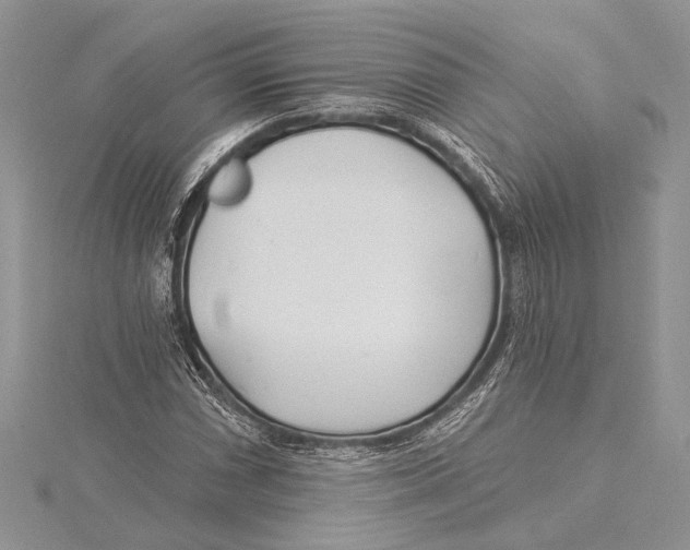 X0000115431066200912020919