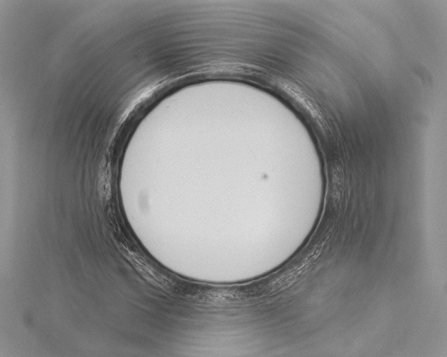 X0000115431067200912020919