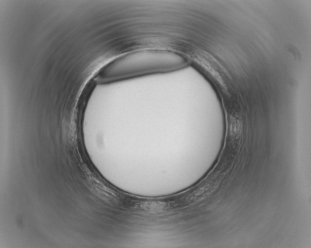 X0000115431068200912020919