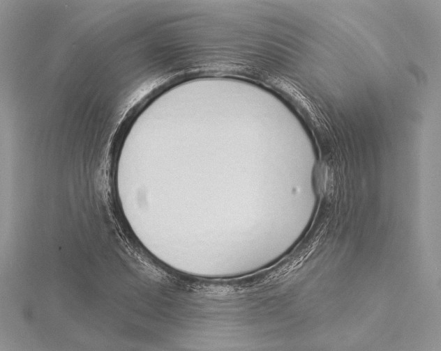 X0000115431071200912020919