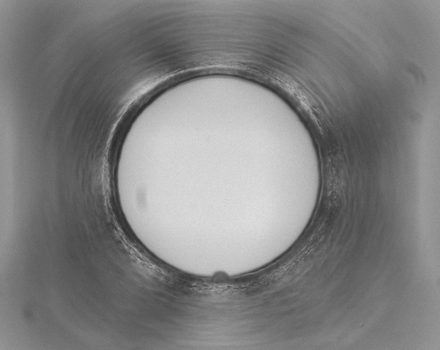 X0000115431072200912020919