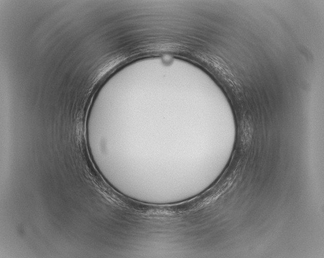 X0000115431073200912020919