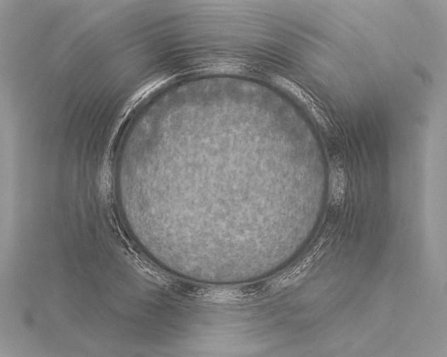 X0000115431074200912020919