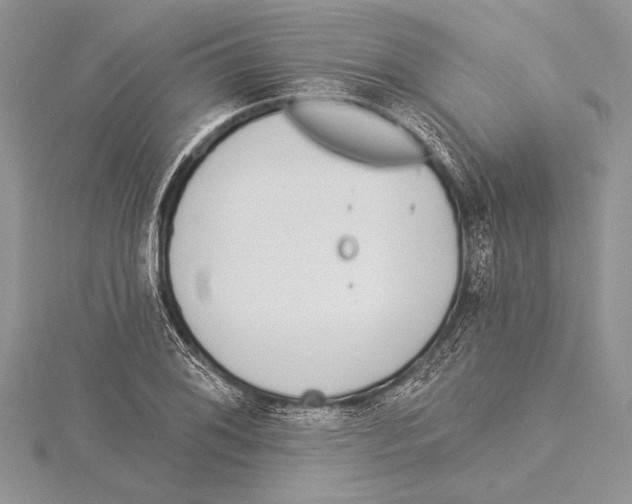 X0000115431076200912020919