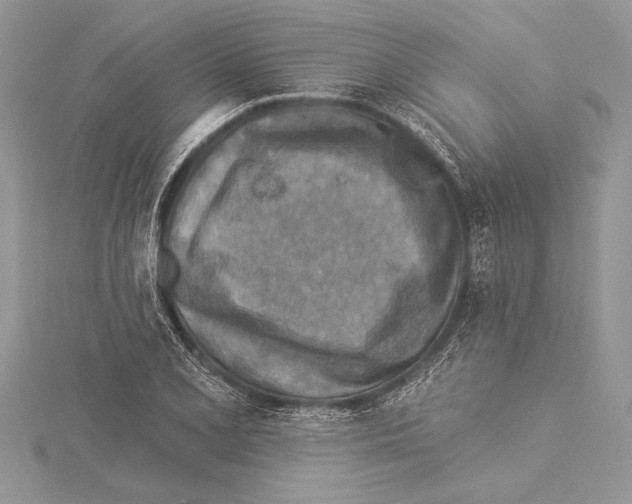 X0000115431077200912020919