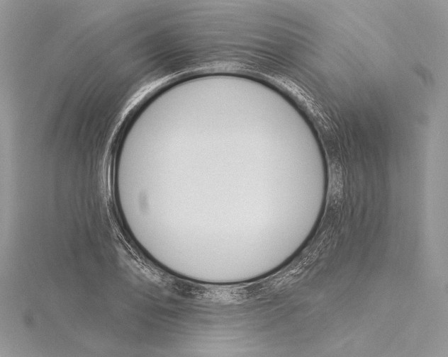 X0000115431078200912020919