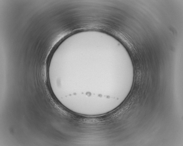 X0000115431079200912020919