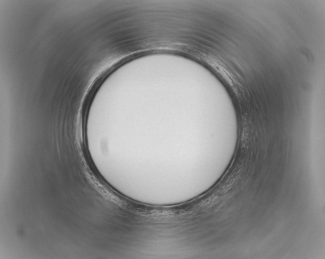 X0000115431080200912020919