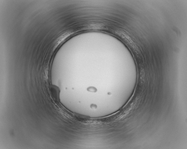 X0000115431081200912020919