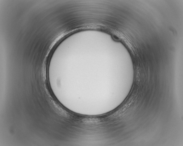 X0000115431083200912020919