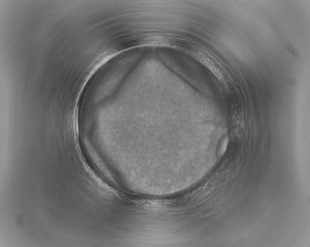 X0000115431084200912020919