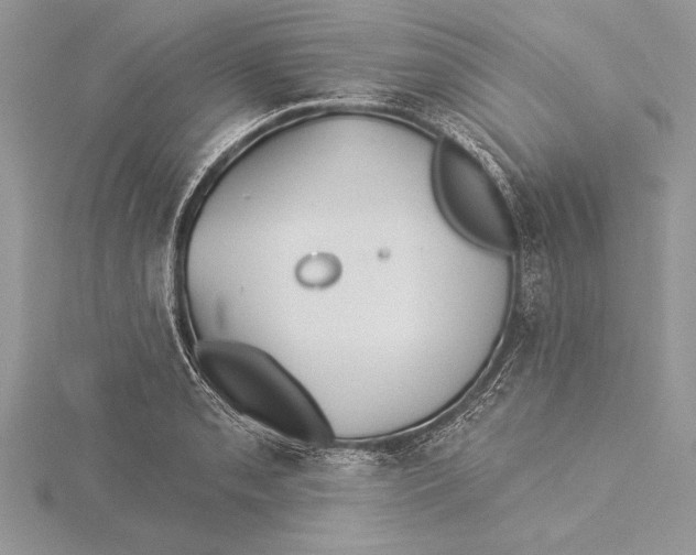 X0000115431085200912020919