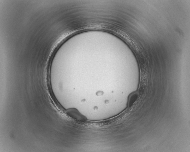 X0000115431086200912020919