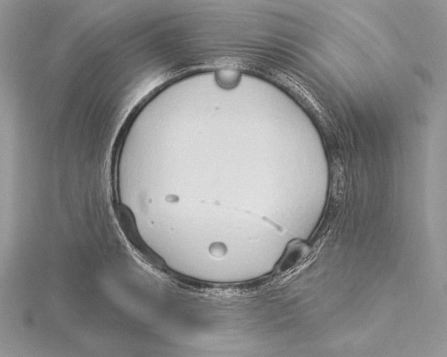 X0000115431087200912020919