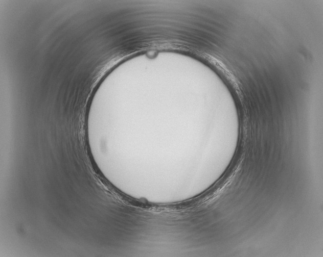 X0000115431089200912020919