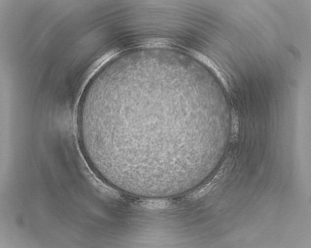 X0000115431090200912020919