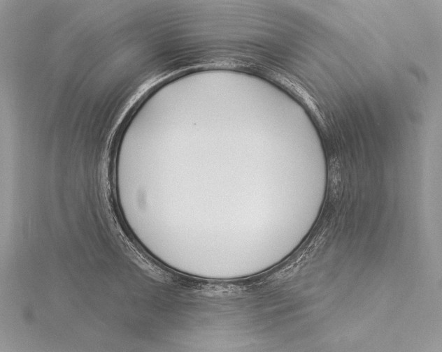 X0000115431091200912020919