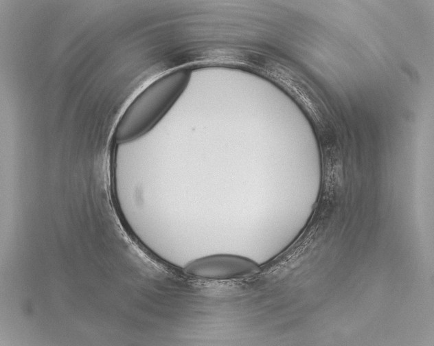 X0000115431092200912020919