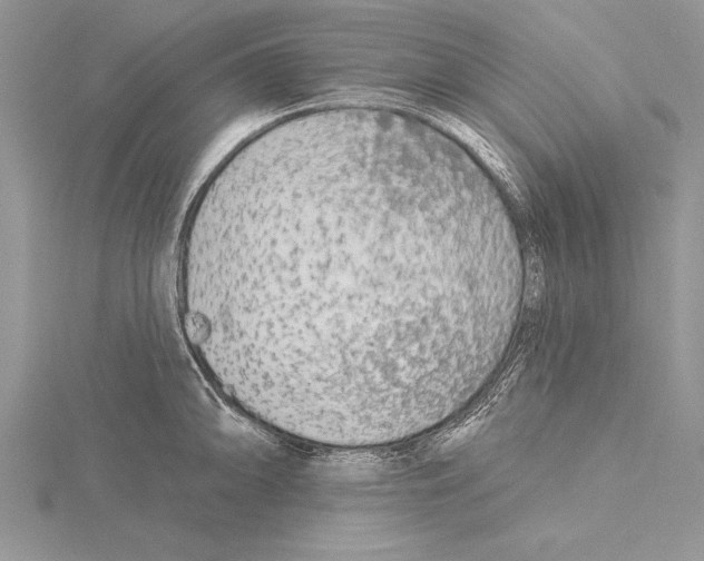 X0000115431094200912020919