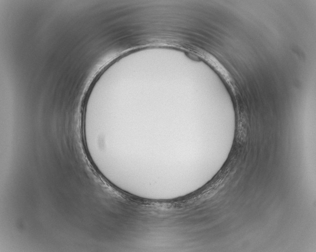 X0000115431096200912020919