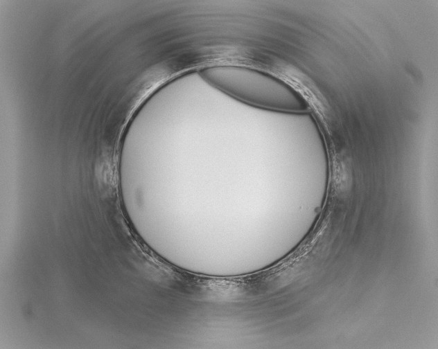 X0000115431097200912020919