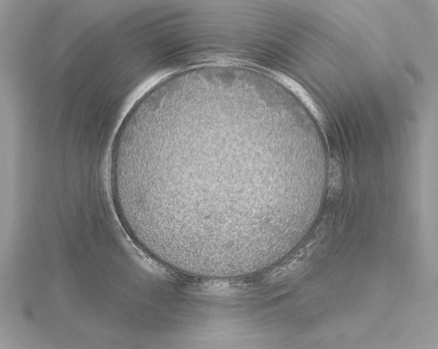 X0000115431098200912020919