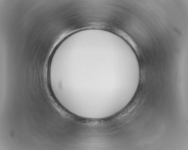 X0000115431099200912020919