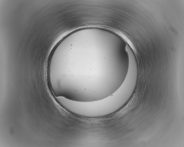 X0000115431101200912020919