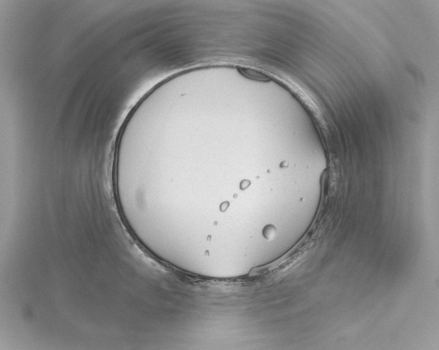 X0000115431102200912020919