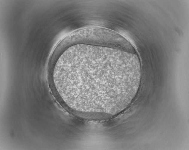 X0000115431104200912020919