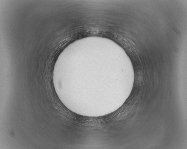 X0000115431105200912020918