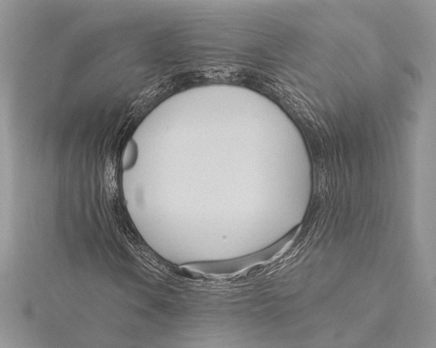 X0000115431106200912020918