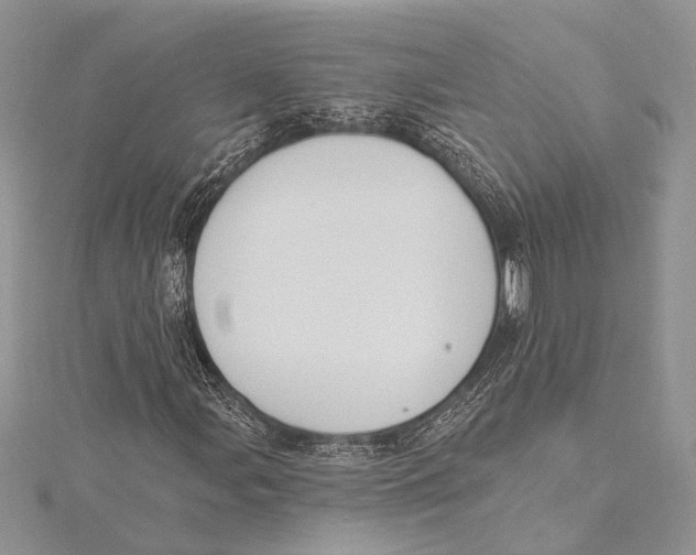 X0000115431107200912020918